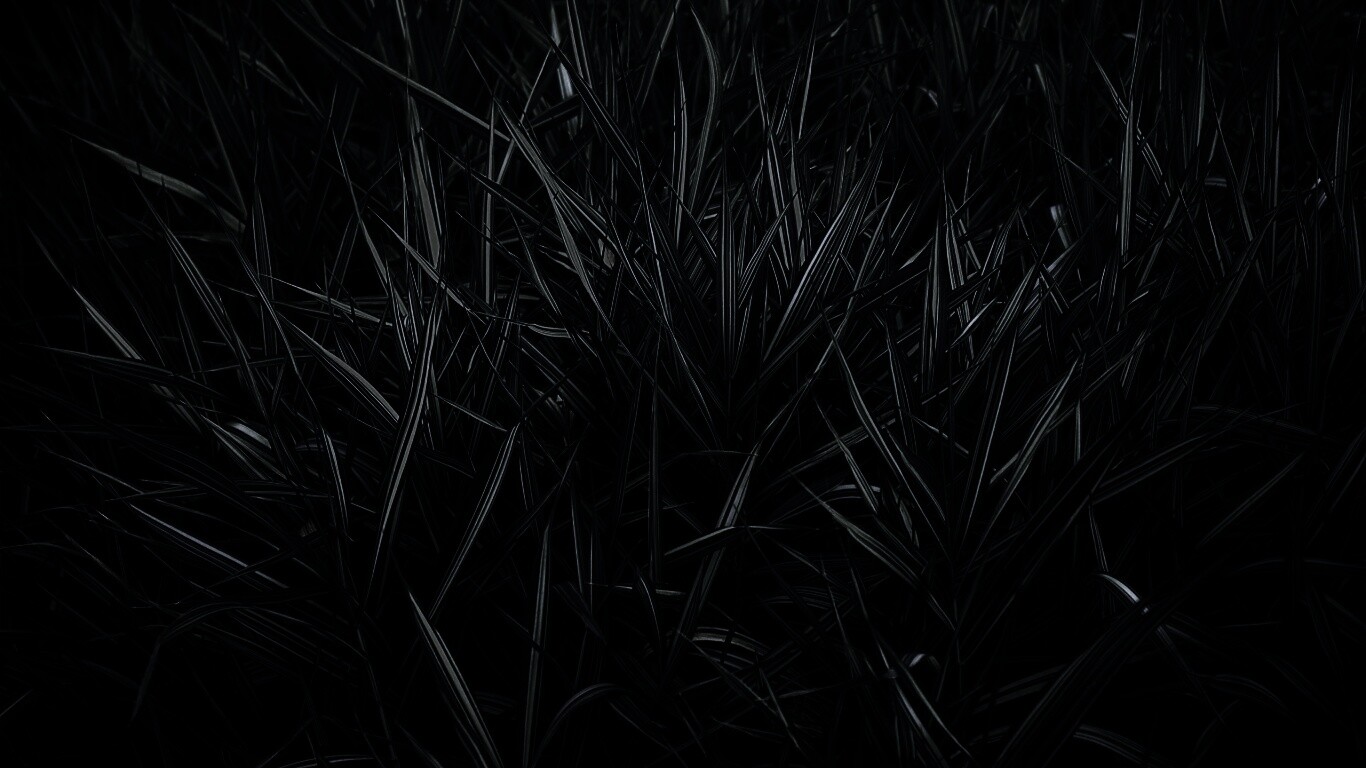 Дикая трава обои