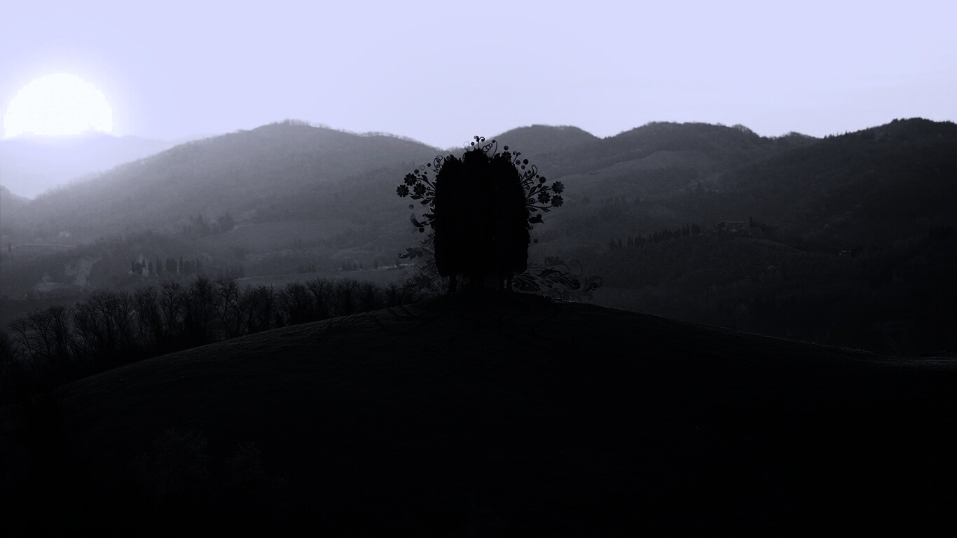 Деревья на холме обои