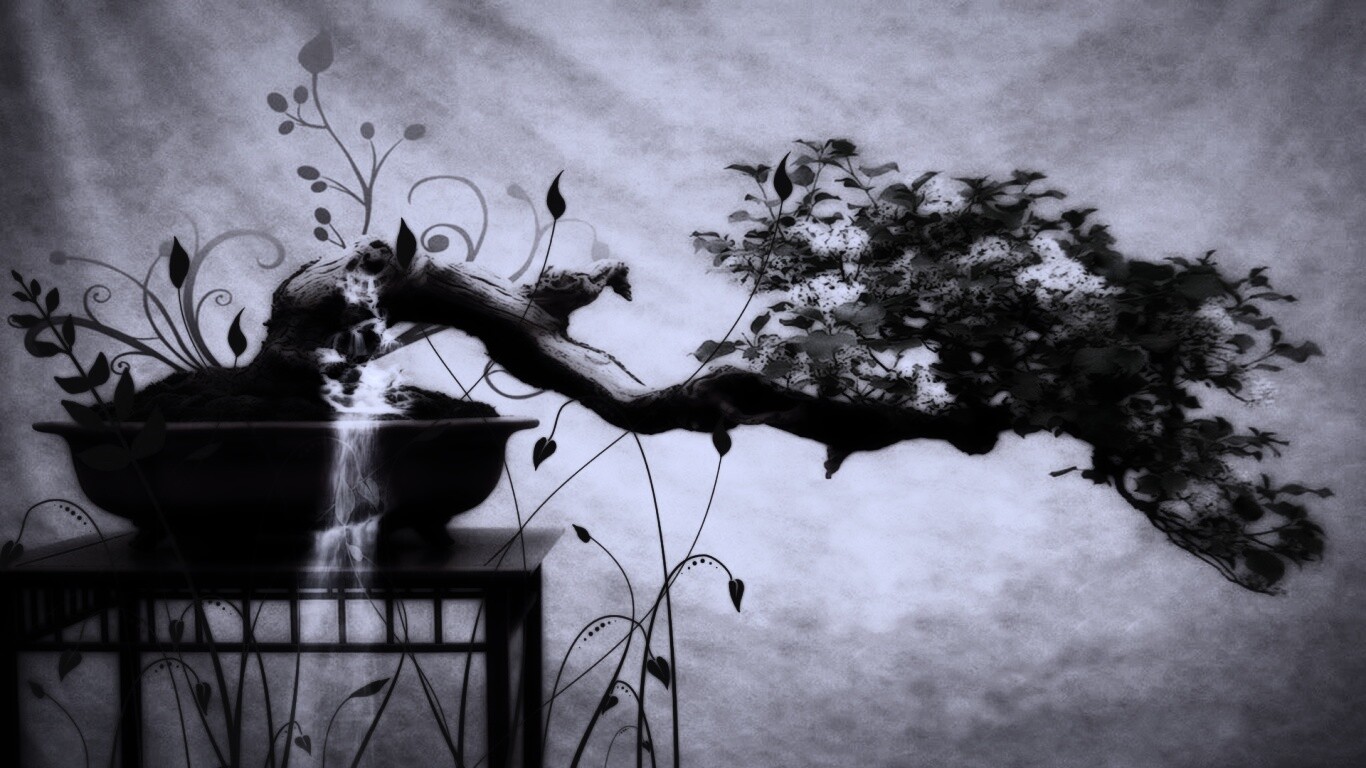 Карликовое дерево обои