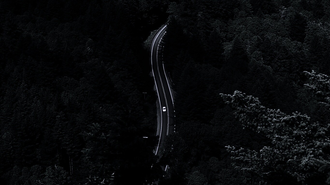 Лесная трасса обои