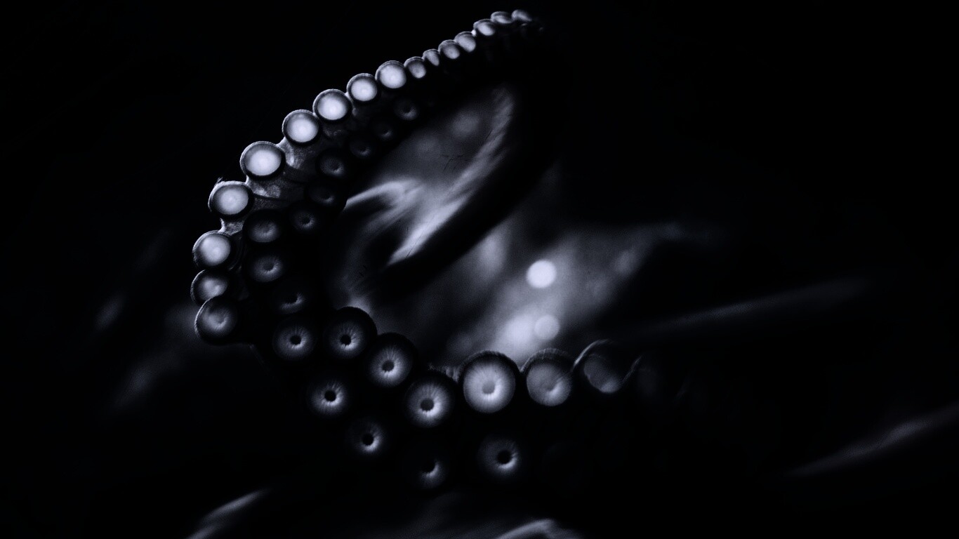 Щупальце обои