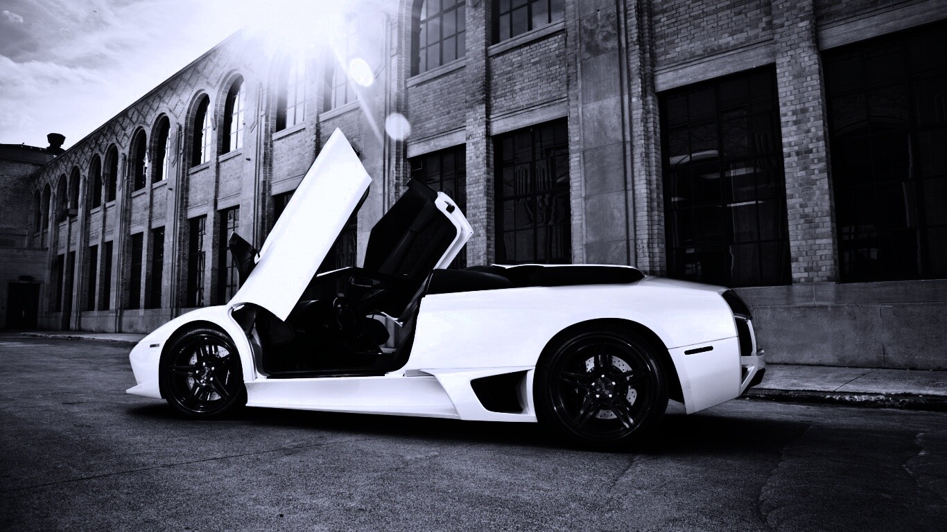 Белая Ламборгини Мурсьелаго обои