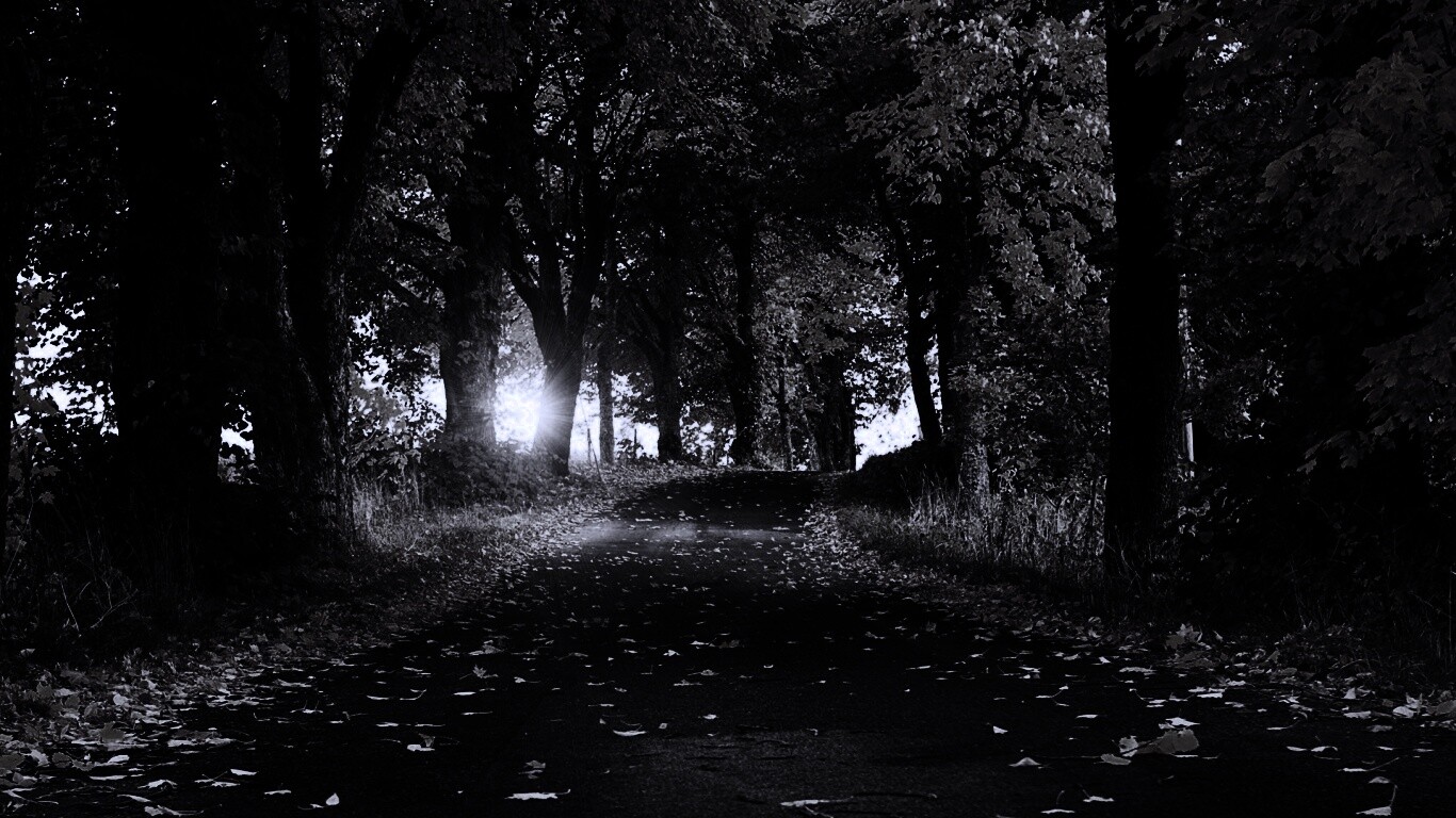 Дорога в осеннем парке обои