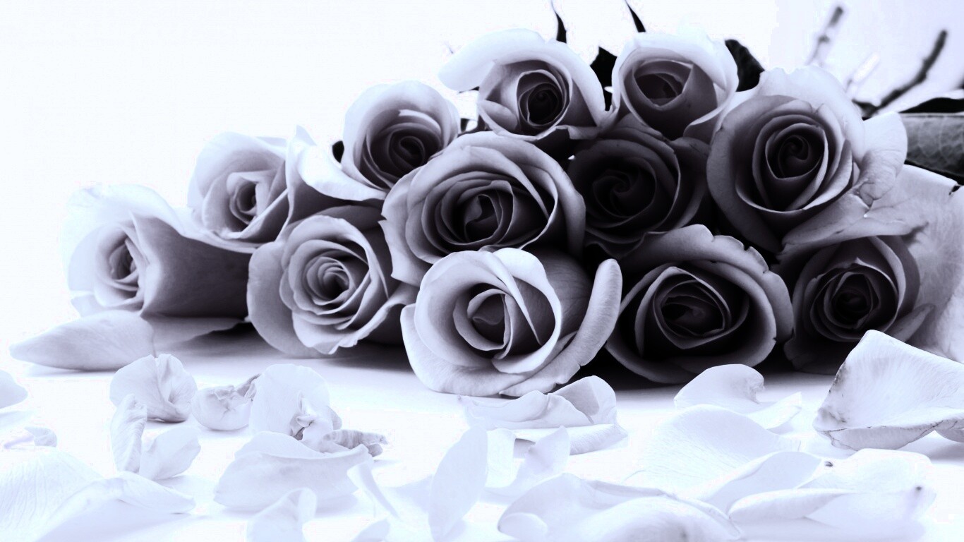 Букет роз обои