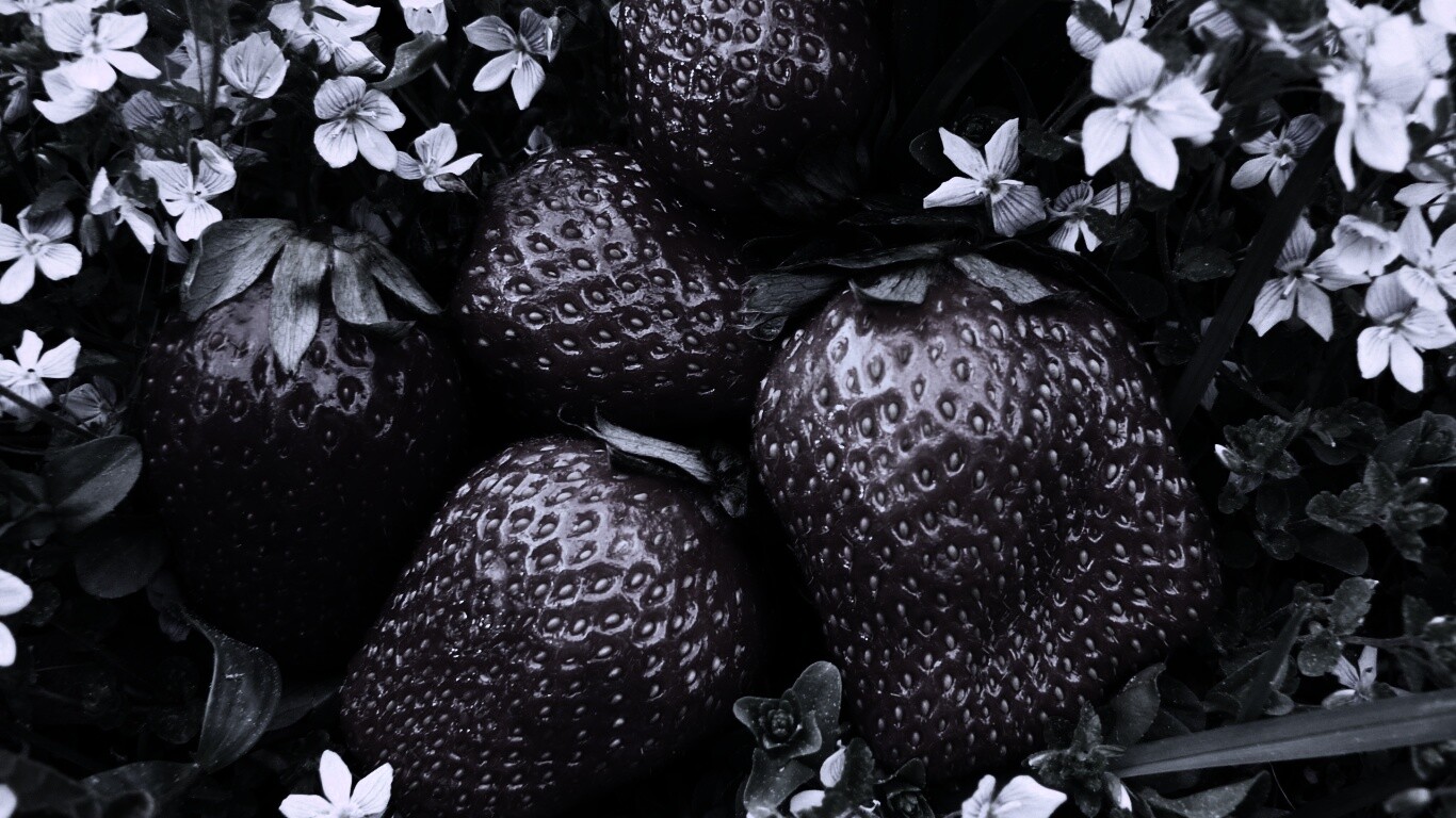 Клубника обои