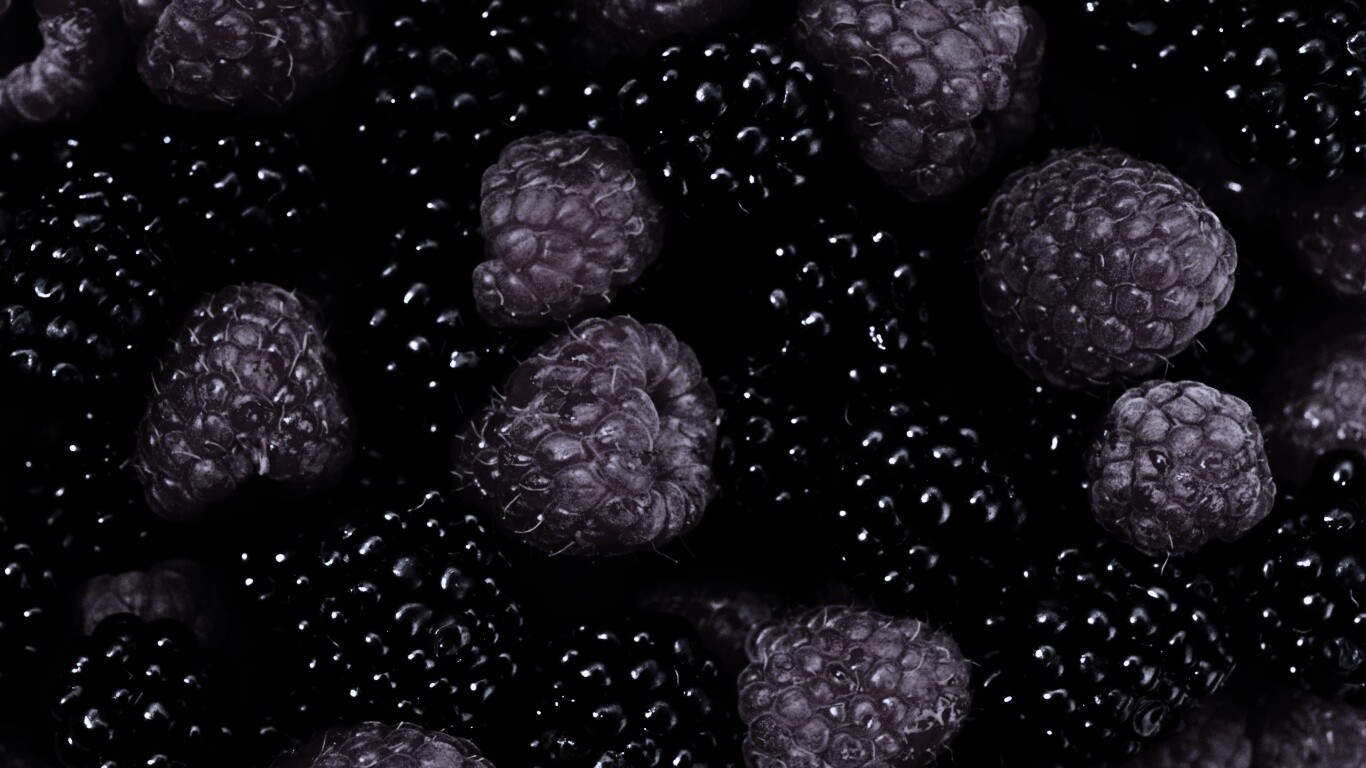 Малина и ежевика обои