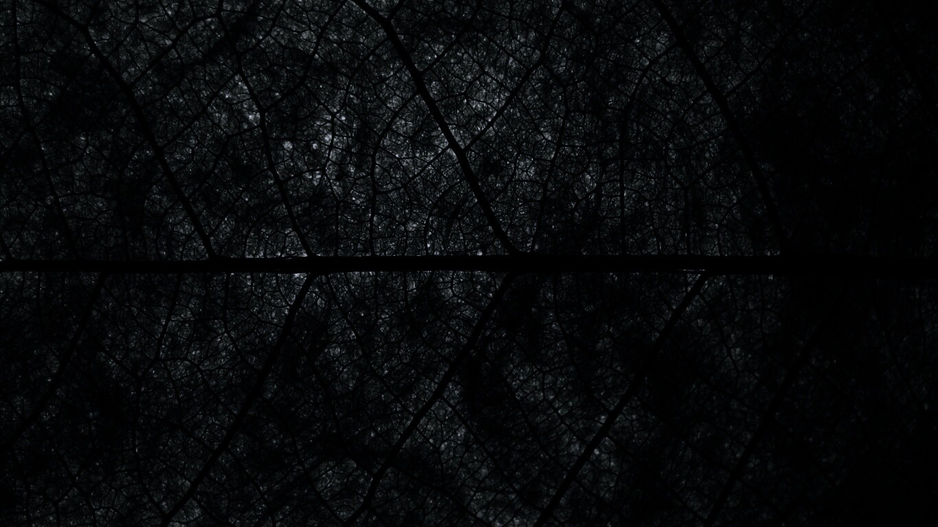 Свечение зеленого листа в макро обои