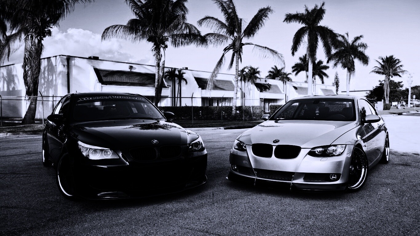 Две БМВ обои