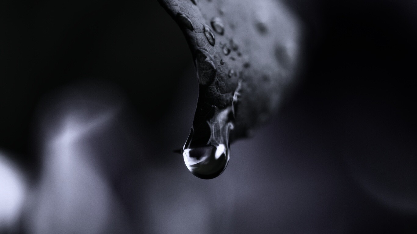 Капля на листе обои