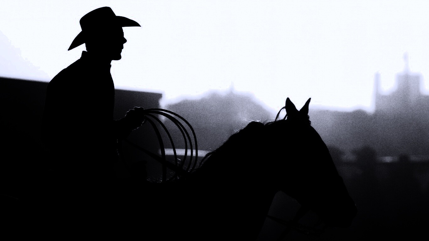 Ковбой с лассо на коне обои