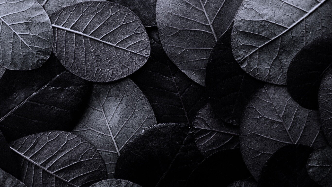 Лиственный узор обои