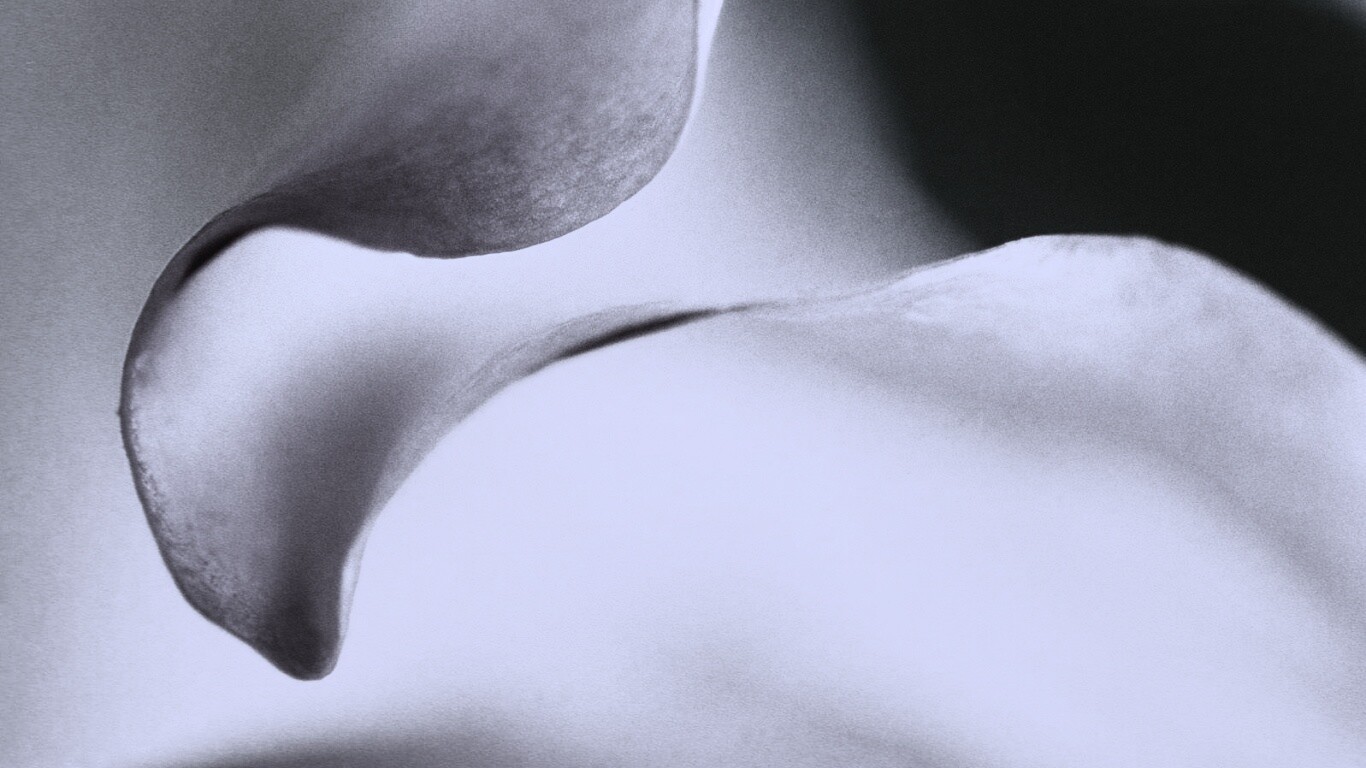 Оттенки природы обои