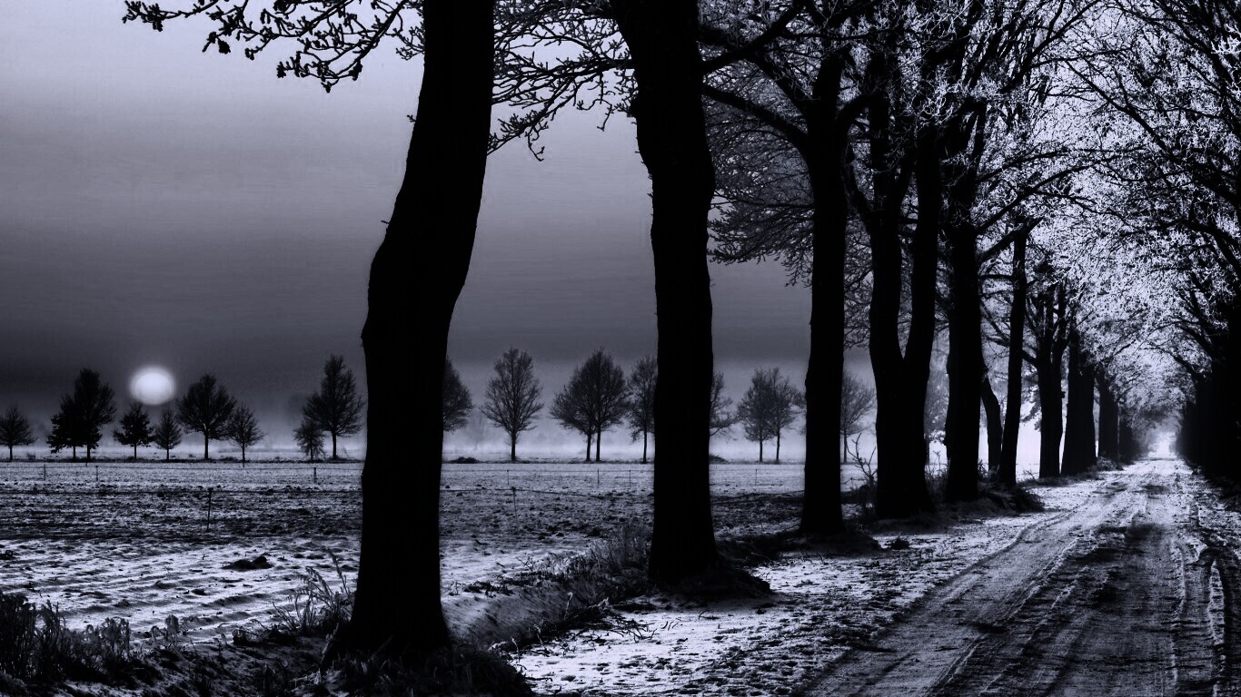 Морозное утро обои