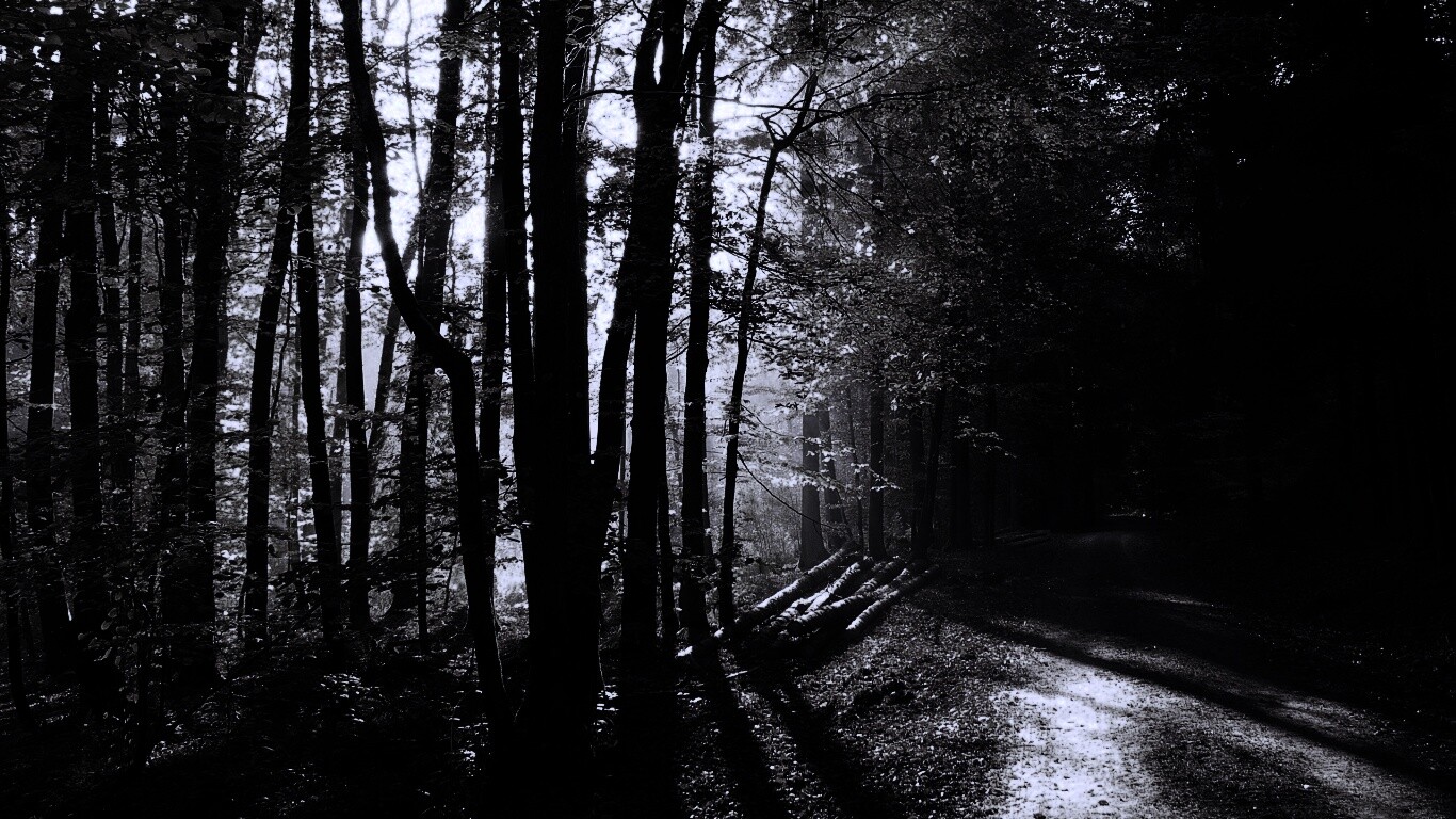 Дорога вдоль просеки в осеннем лесу обои