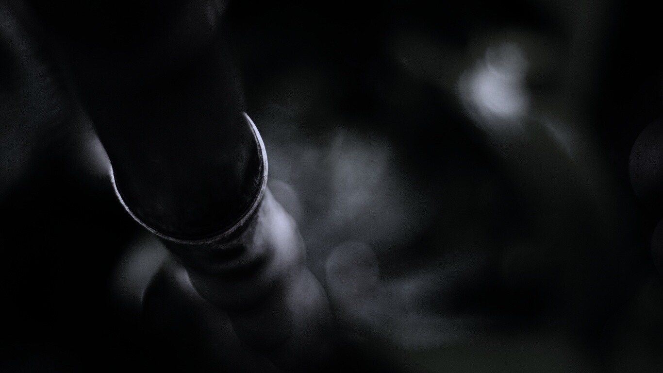 Бабмук растет обои