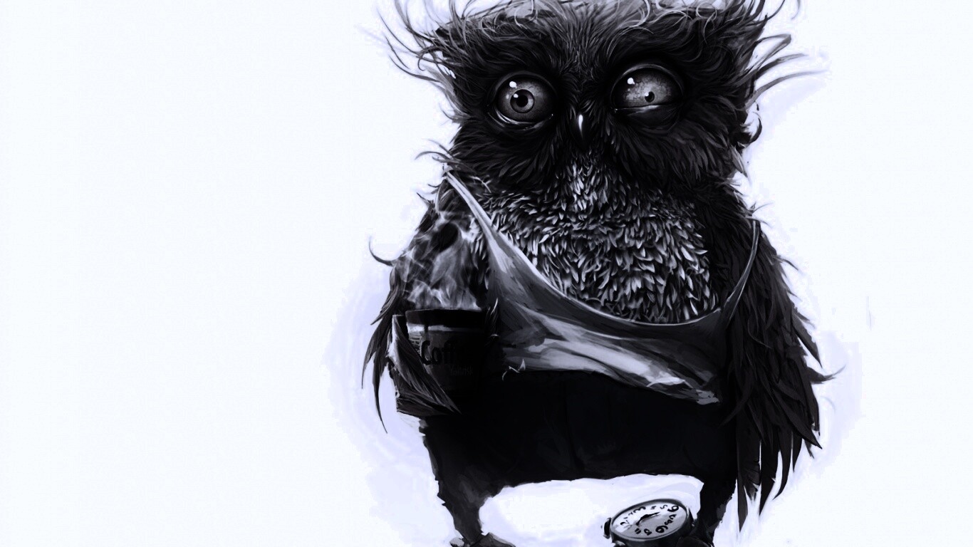 Не спящая сова обои