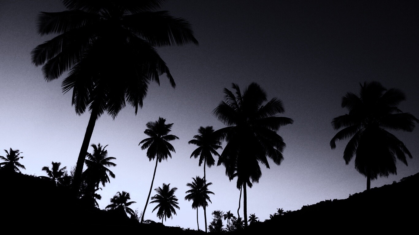 Пальмы на фоне фиолетового неба обои