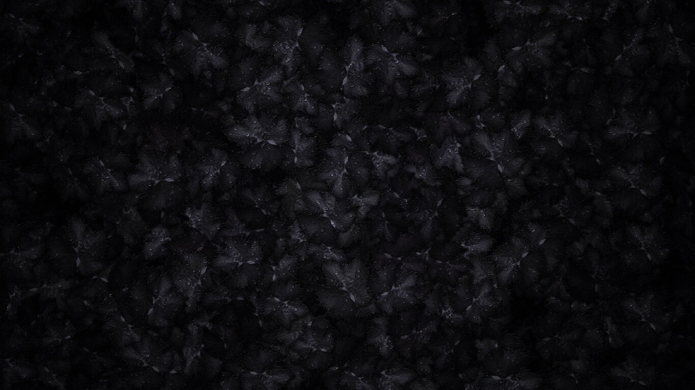 Осенние листья обои