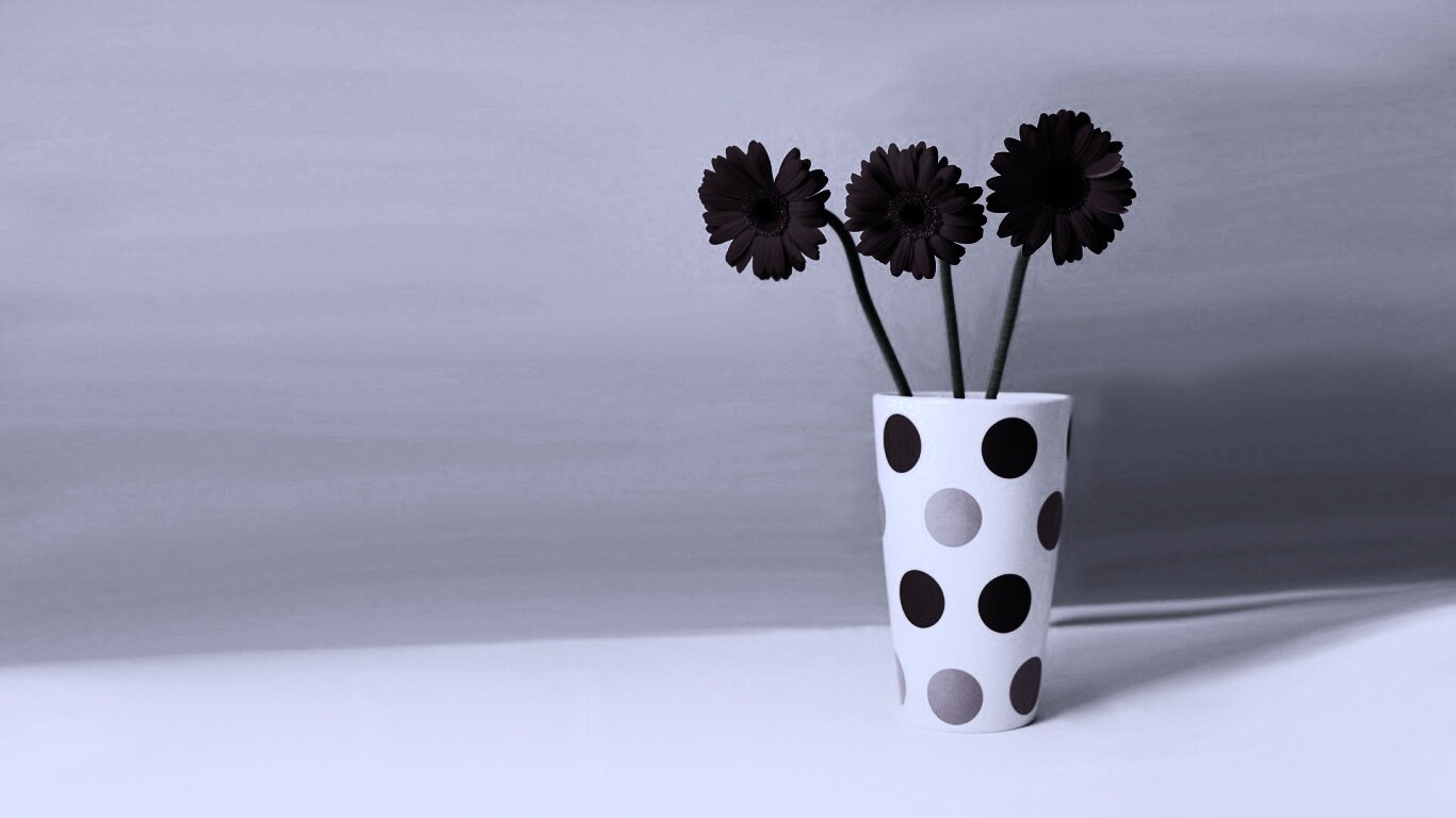 Вазочка с тремя красными герберами обои