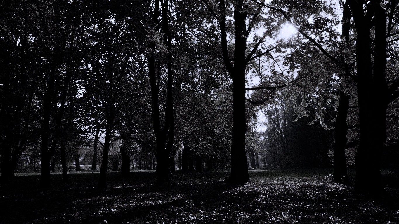 Осенний листопад в парке обои