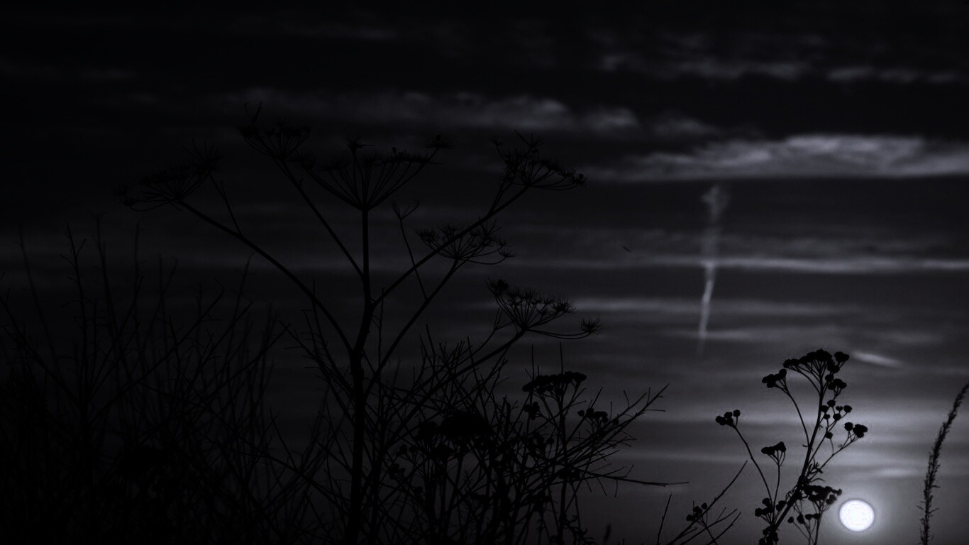 Степной закат обои