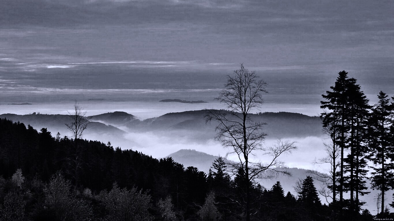 Холмы в тумане обои