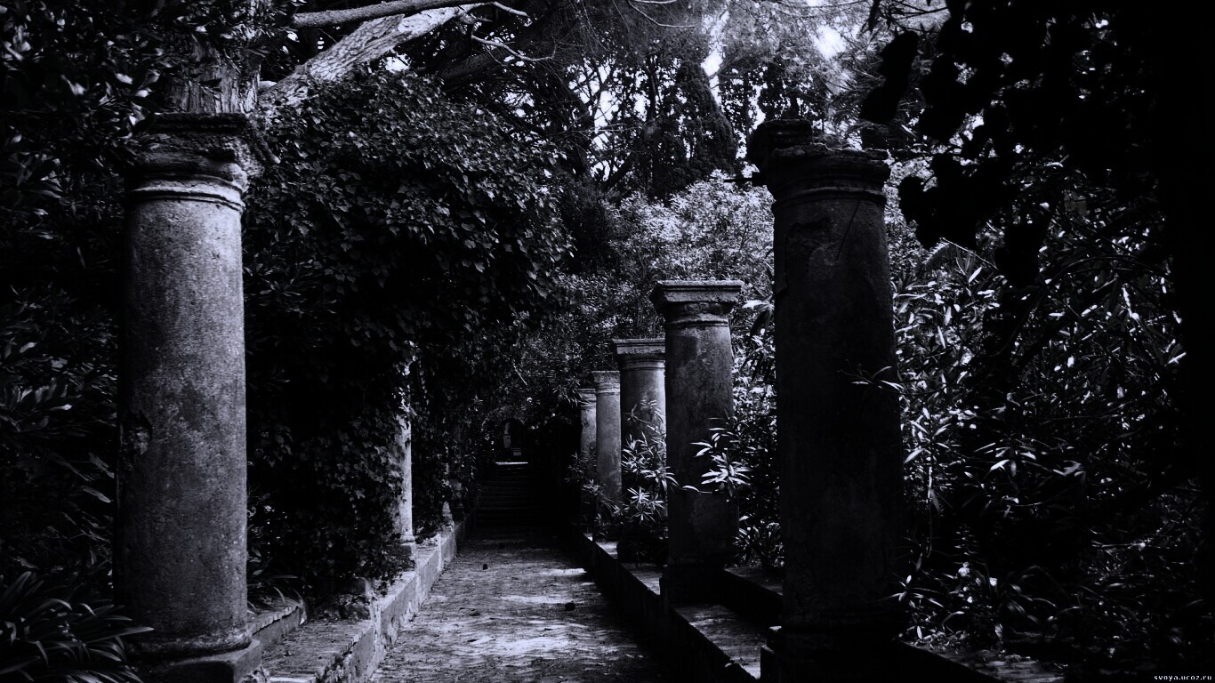 Галерея зимнего сада обои