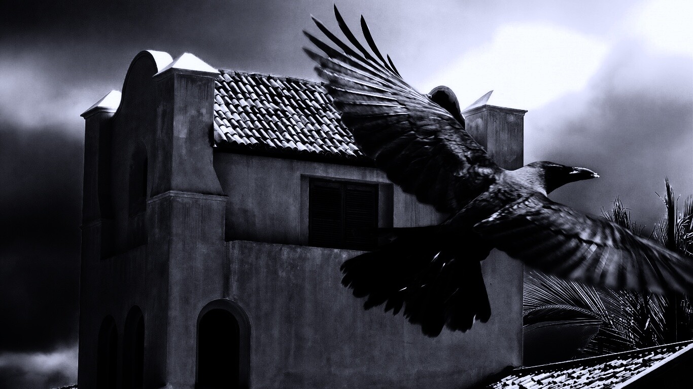 Полёт ворона обои