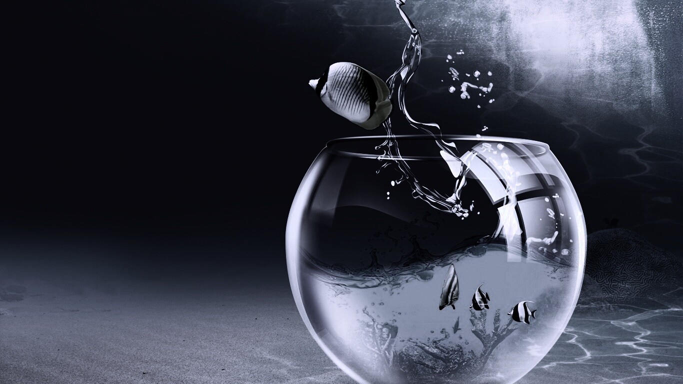 Аквариум с рыбками обои