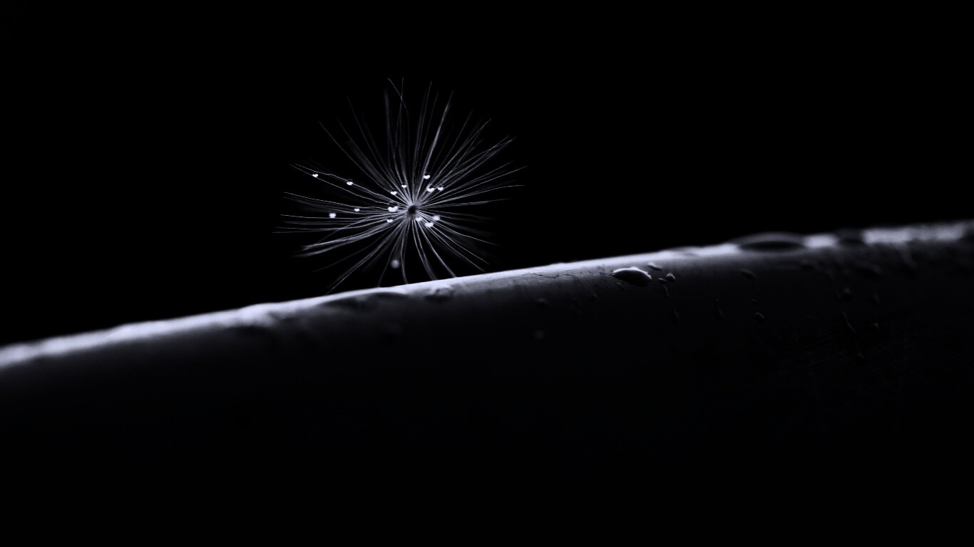 Прилипшая пушинка обои