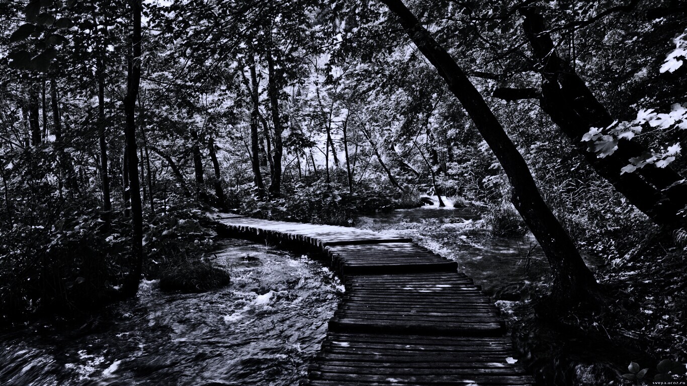 Тропинка над водой обои