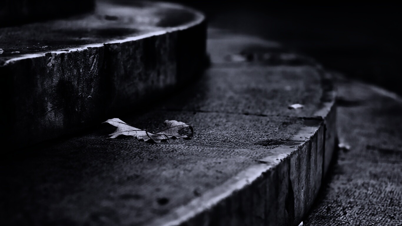 Лист на ступеньках обои