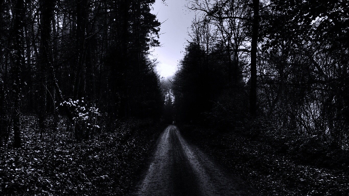 Лесная дорога обои