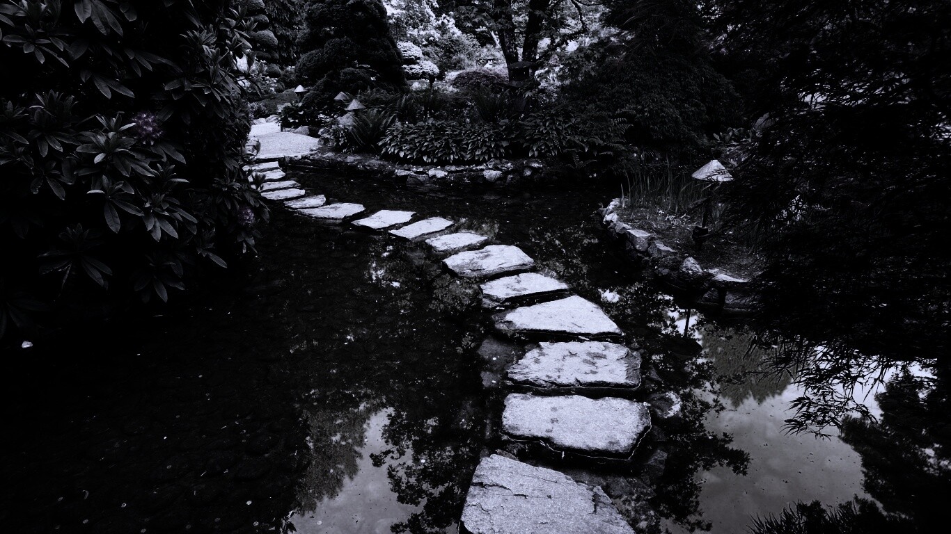 Дорожка через пруд обои