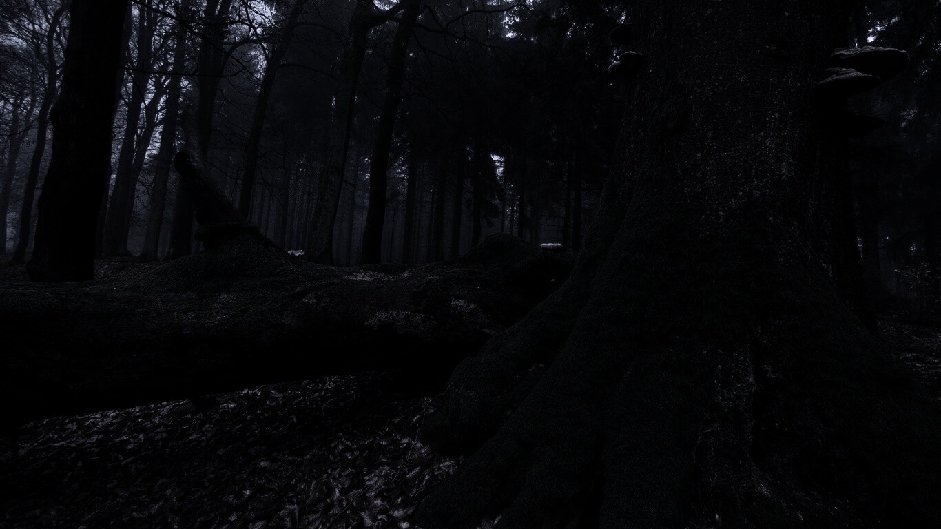 Дерево, поросшее мхом обои