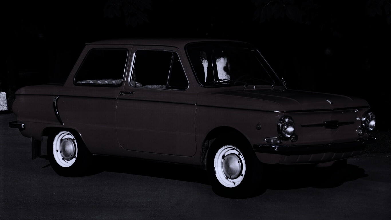 Оранжевый ушастый запорожец обои