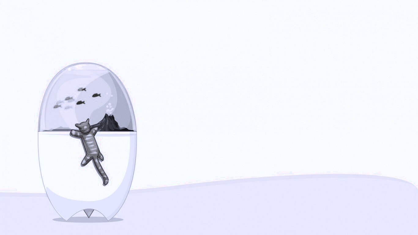 Кот прыгает на аквариум обои