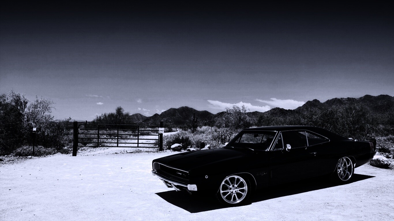 Мускулкар под палящим солнцем обои