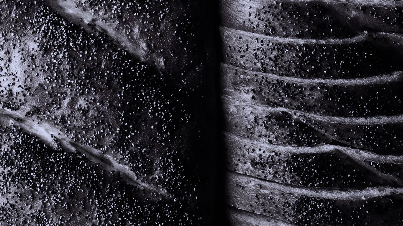 Выпечка с маковой крошкой обои