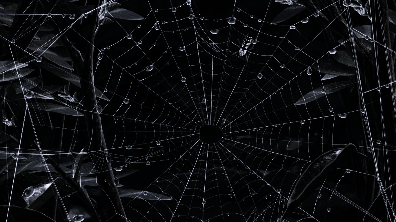 Паутина и паук обои