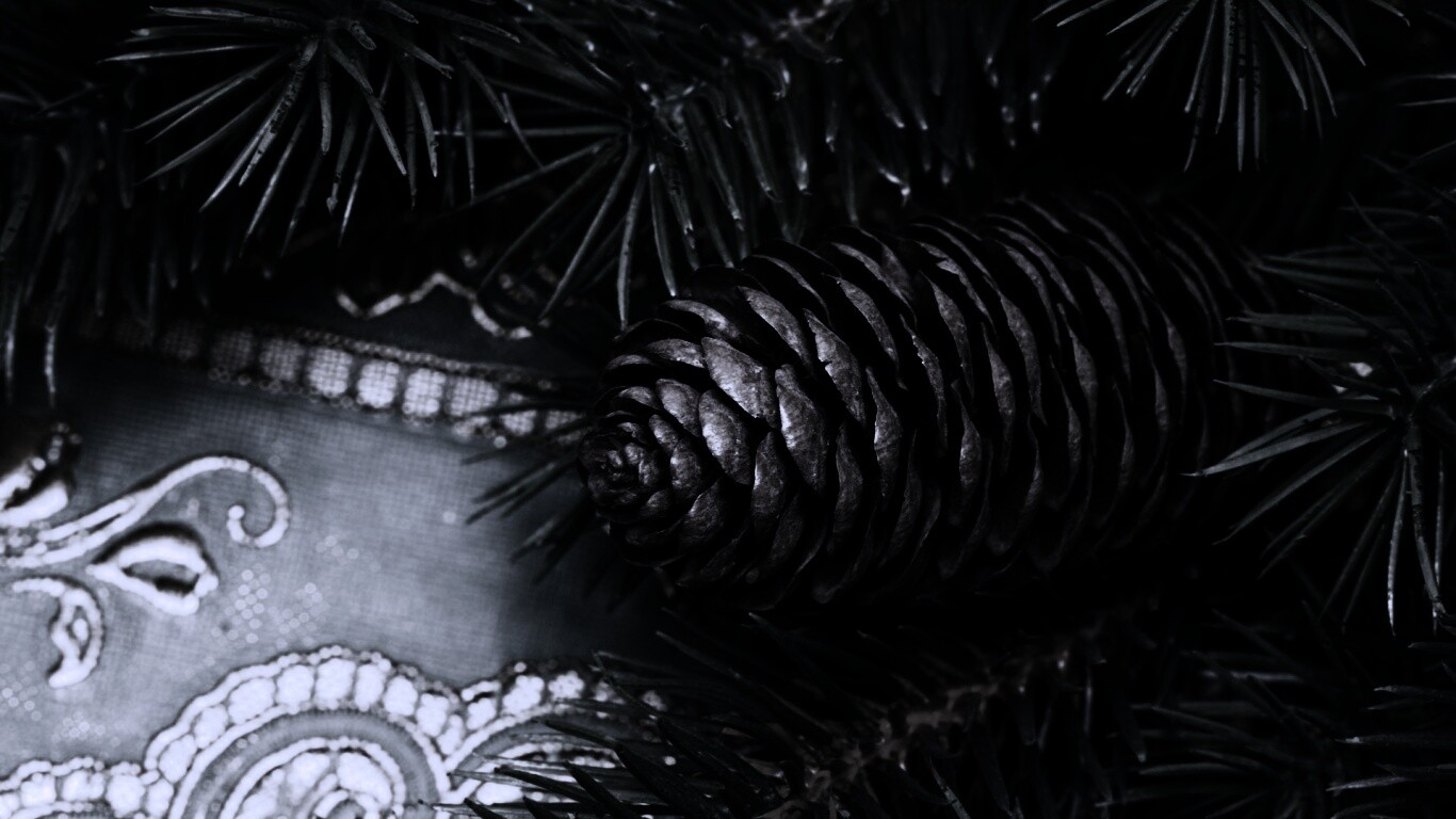 Шишка на елке обои