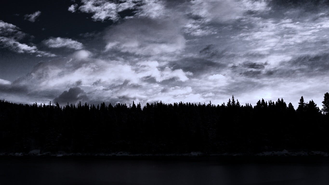 Лес на озере обои