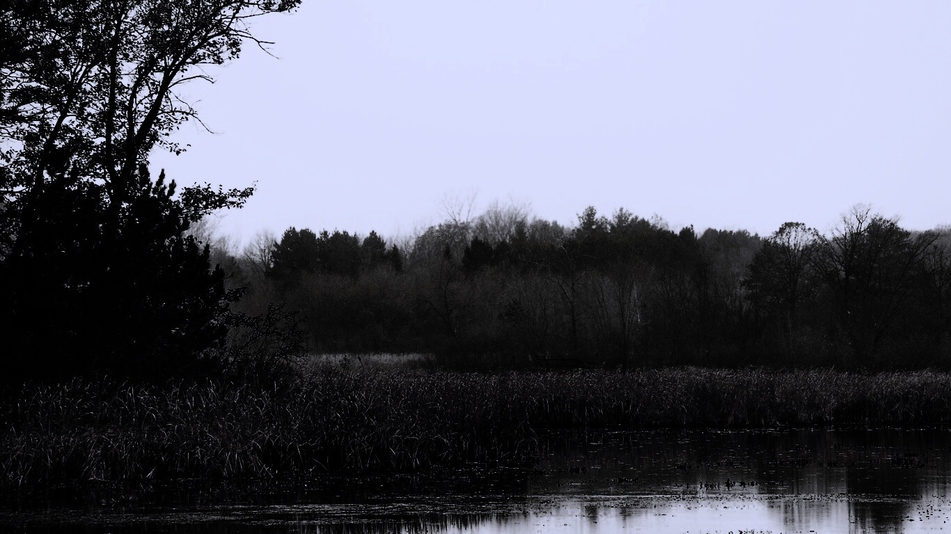 Живописные болота обои