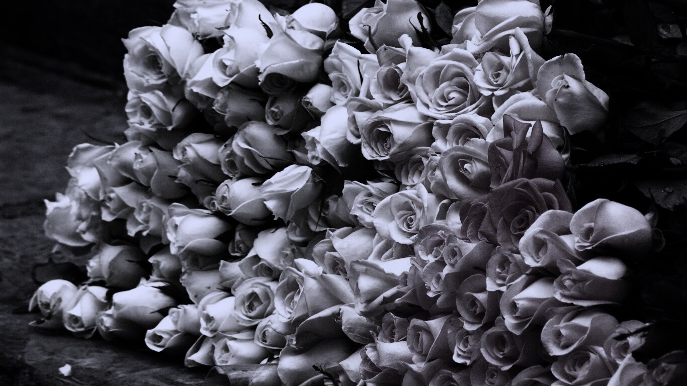 Букеты светлых роз обои