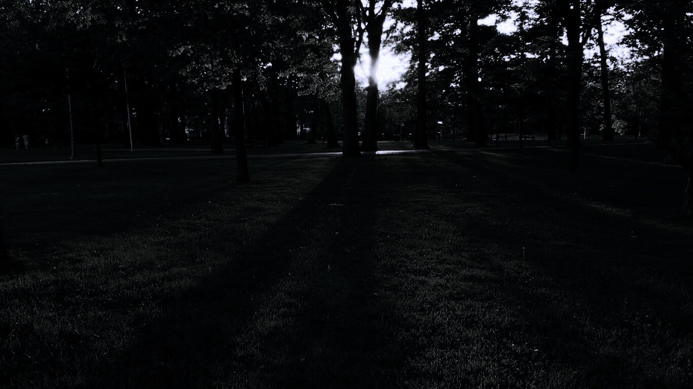 Лучи солнца сквозь листву деревьев обои