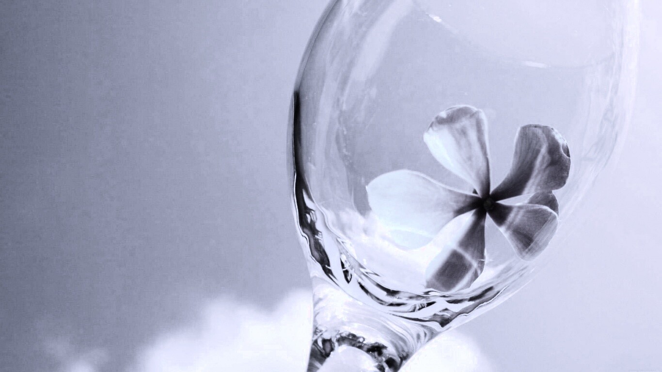 Нежный цветок в бокале на фоне голубого неба обои