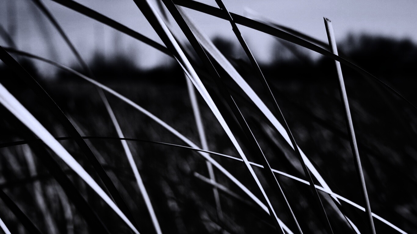 Желтая трава обои