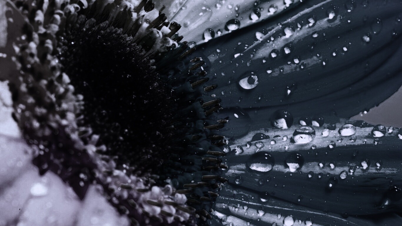 Цветик семицветик обои