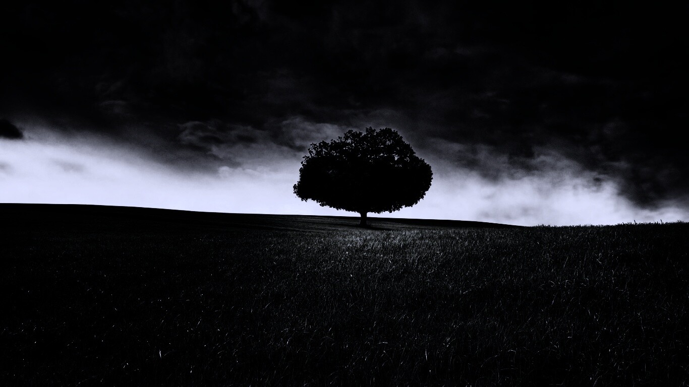 Одинокое дерево под грозовым небом обои