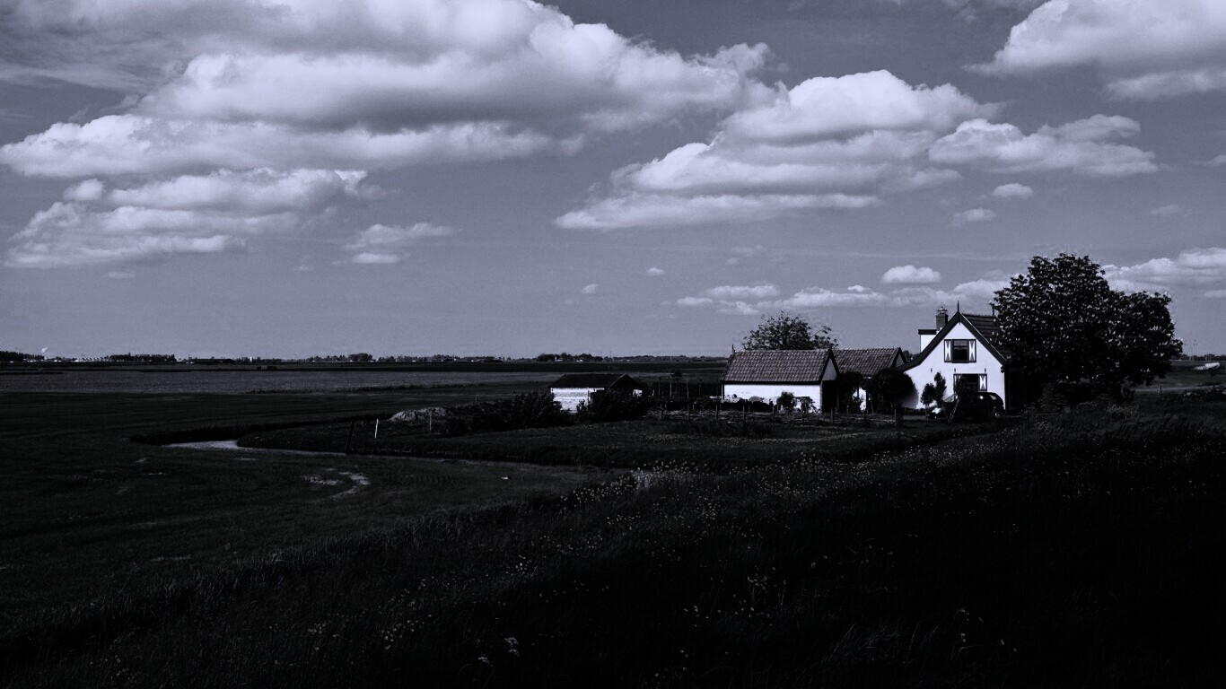 дом на лугу обои